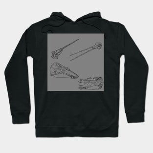 Arctic Whale Skulls and Oddities Grey Hoodie